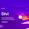 divi nulled